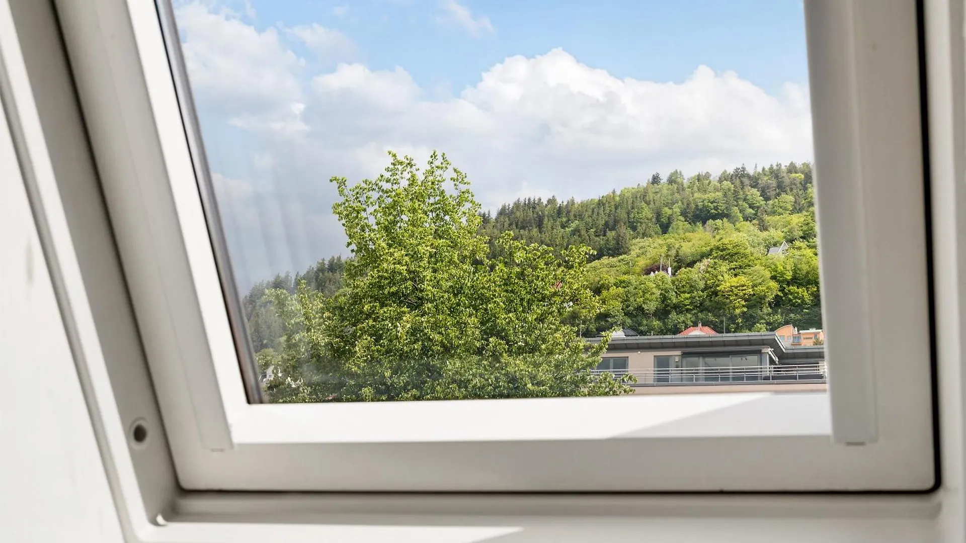 3 Bedroom Apartment In Heart Of Bergen